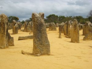 カンガルー日記；パースと言えば”荒野の墓標--ピナクルズ”その５