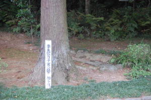 のむけはえぐすり　　高麗神社のびっくり　　２）李王妃方子女王殿下のお手植えの杉